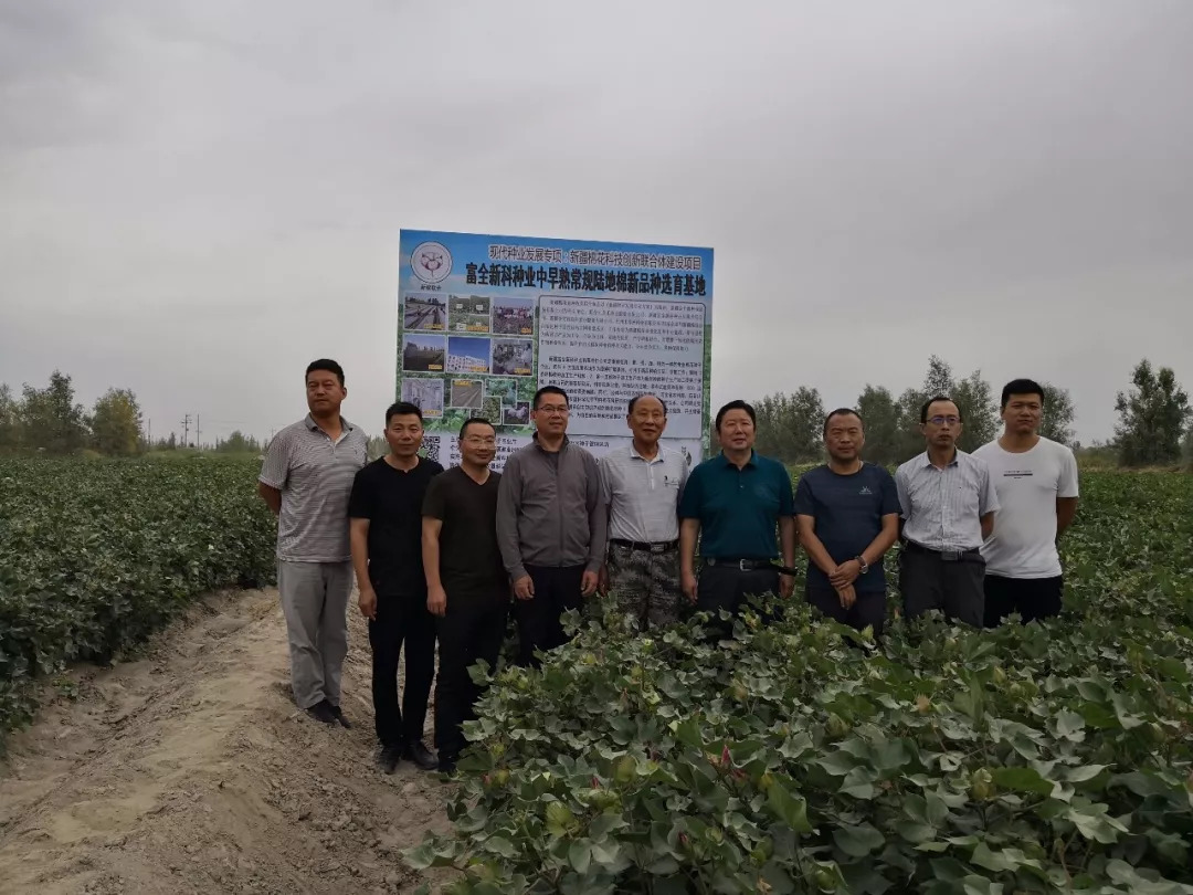 富全新科种业加入新疆棉花科技创新联合体